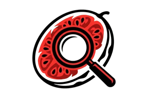 黑兽 | 黑兽永久地址 - 全网独家黑兽影视导航 - 吃瓜社Logo
